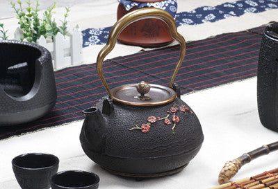 Cast Iron Teapot